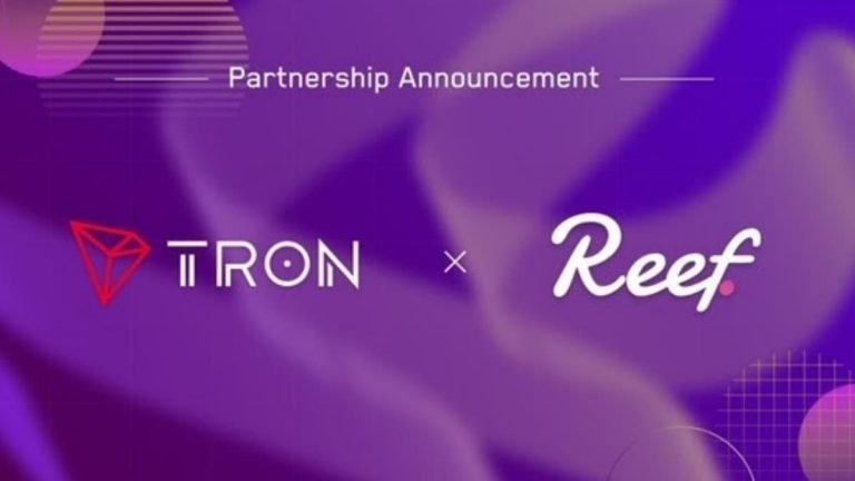 Reef Finance