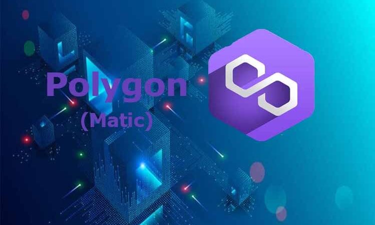 Polygon (MATIC) становится королем Web3
