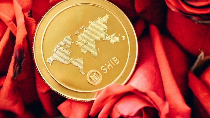 SHIB завоевывает миллиардный рынок с VISA.