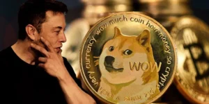 IPO компании X