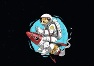 DOGE-1