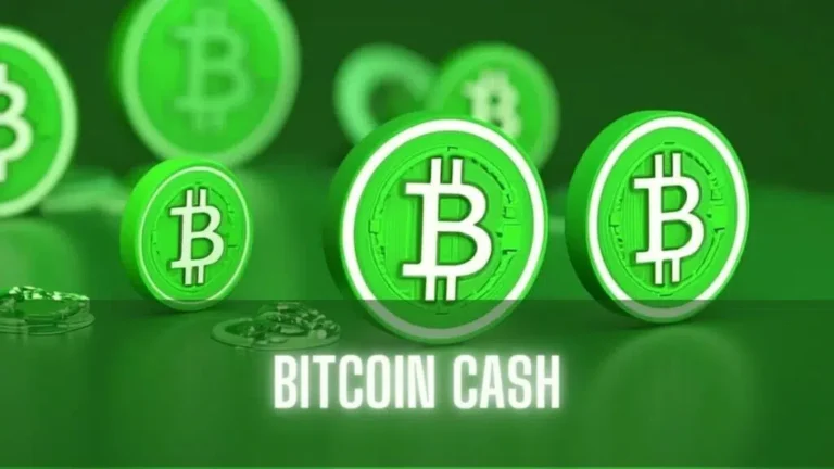 Bitcoin Cash (BCH)
